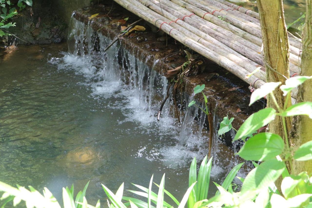 Baan Rai Me Rak Organic Farmstay Pa Khlok ภายนอก รูปภาพ